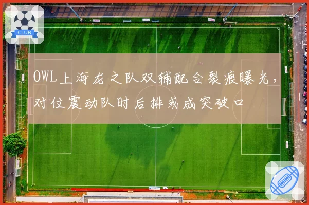 OWL上海龙之队双辅配合裂痕曝光，对位震动队时后排或成突破口