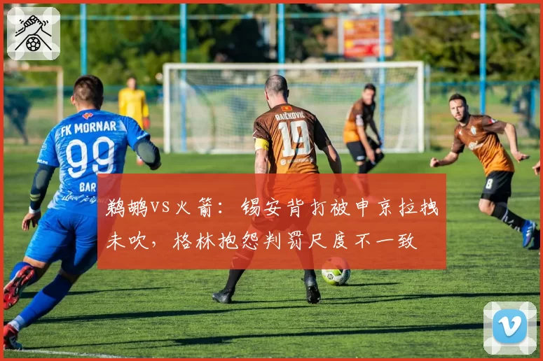 鹈鹕vs火箭：锡安背打被申京拉拽未吹，格林抱怨判罚尺度不一致