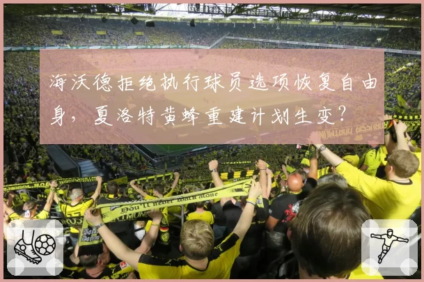 海沃德拒绝执行球员选项恢复自由身，夏洛特黄蜂重建计划生变？